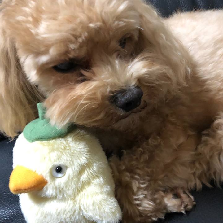 D5cbb492 e5e8 4af4 97ca 7c354be227b9 1656001389227