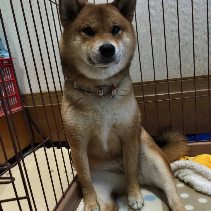 D5cbdddf 70a9 4ead 862c 1b40961baa4a 1547075675751