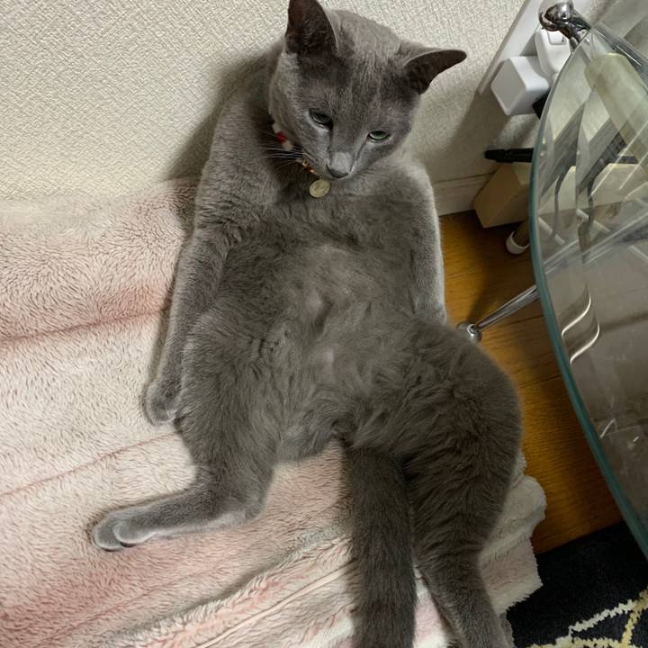 D5cc039b b291 447f 9340 28388aa12476 1597212901834