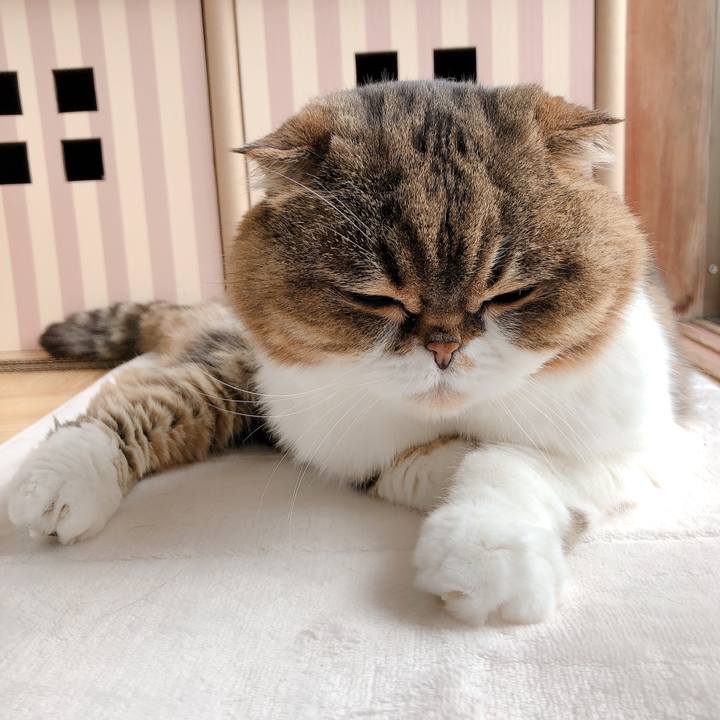 D5cc5830 07e2 45fa aef7 cbf14396f411 1590106882275