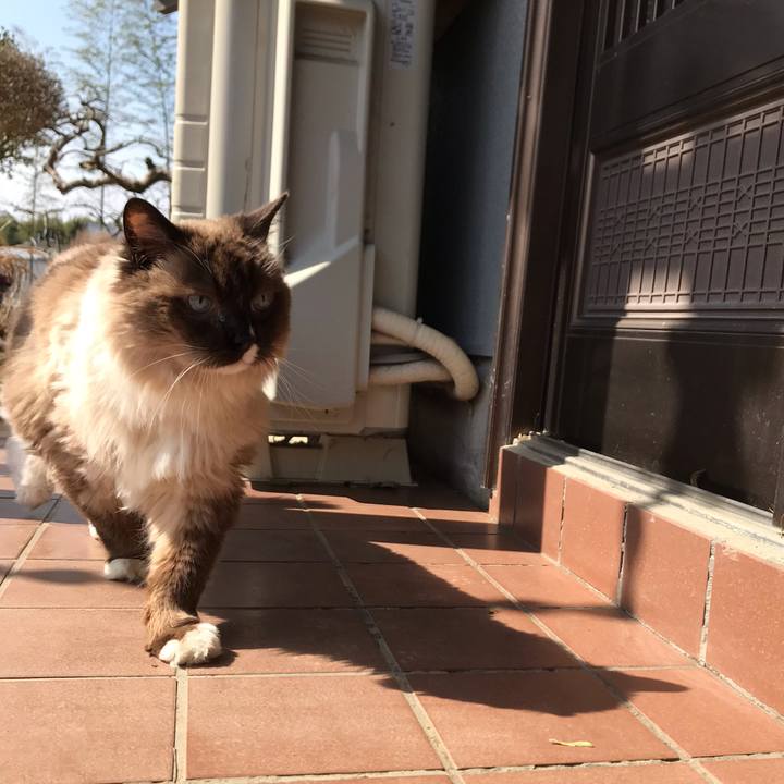 D5cc836b 0004 4592 8abf 484a923467a5 1583030721972