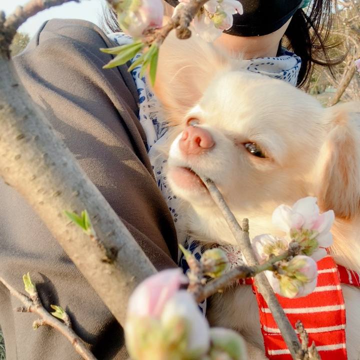 D5cca526 06cb 4604 9c70 33bed6c1e8a0 1616159194373