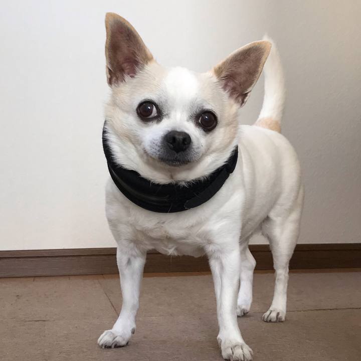 D5cd07c5 12b8 4013 b282 fe39b49c1fb1 1555297511036