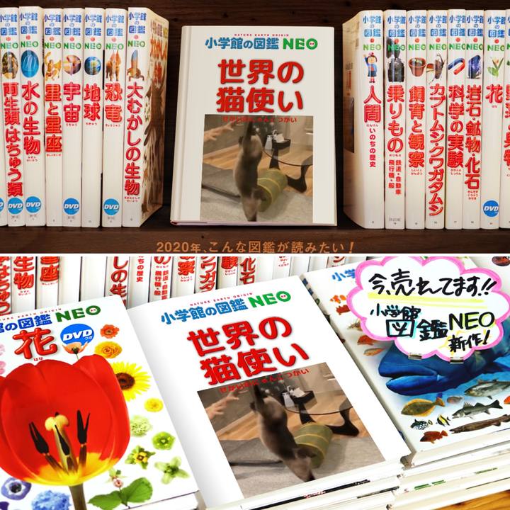D5cd29eb f7cf 4a96 ab2d 28b87a6d8e58 1578201322008