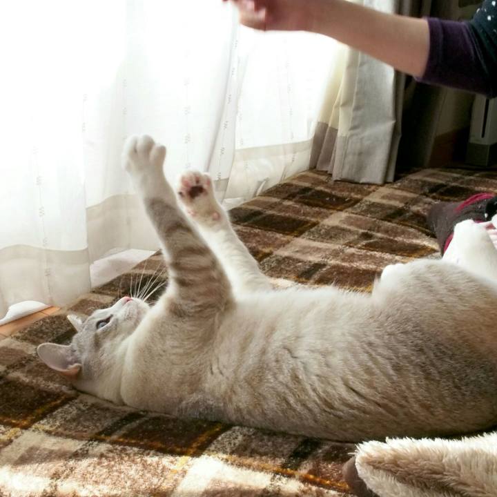 D5cd67b2 3477 4584 aff1 4e7085d447a0 1520308215042