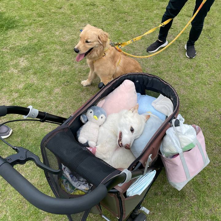 D5cd71ec 90cd 41df ae2d fc8401ba6620 1685276124750