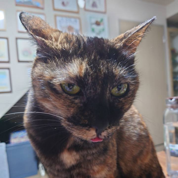 D5cdc5be 69fa 44c7 b0c4 2a9d3f848811 1728387134790