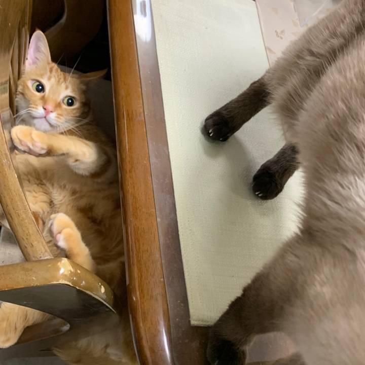 D5cdcfa7 357a 4440 b021 7e571b58ca73 1579781751782