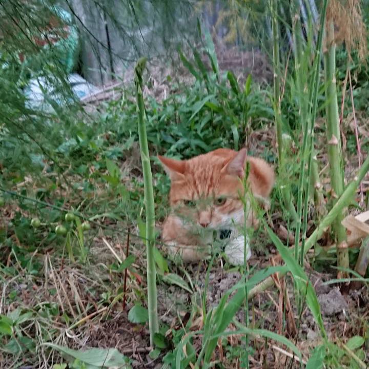 D5ce0b42 2f52 4083 a79e 6ccf840ba3a5 1565861543685