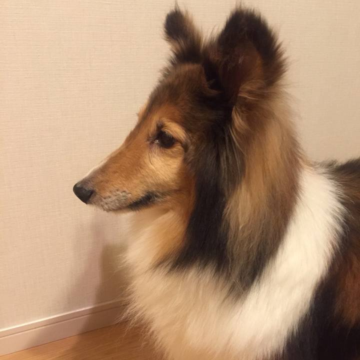 D5ce25ff dba3 483d a7b2 edb0c9124726 1559391885095