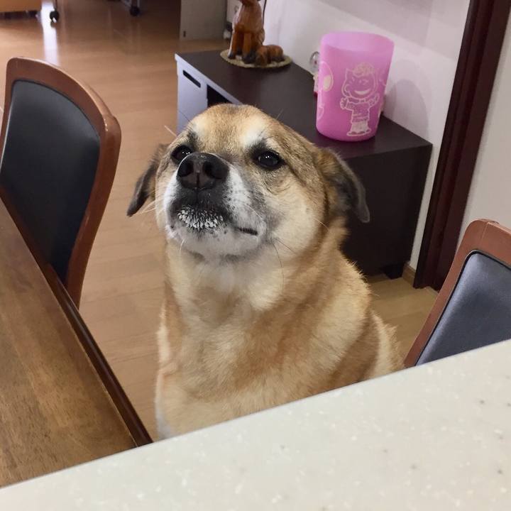 D5ce4803 f202 4f4a 9796 cd118cadbe73 1552454805256