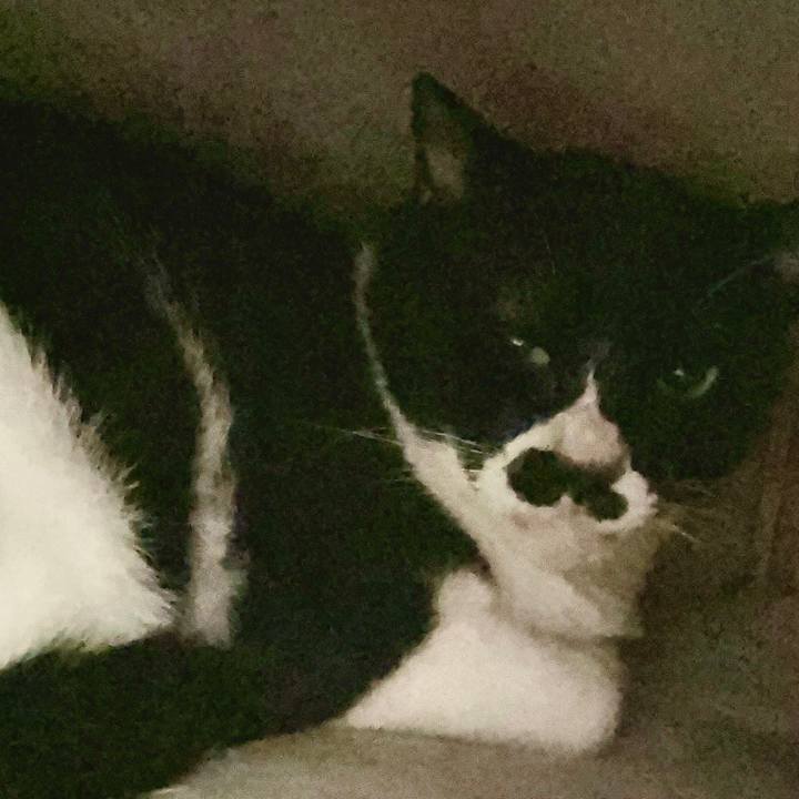 D5ce5930 bd1a 480c b834 8fdcd46ed9c6 1690720322787