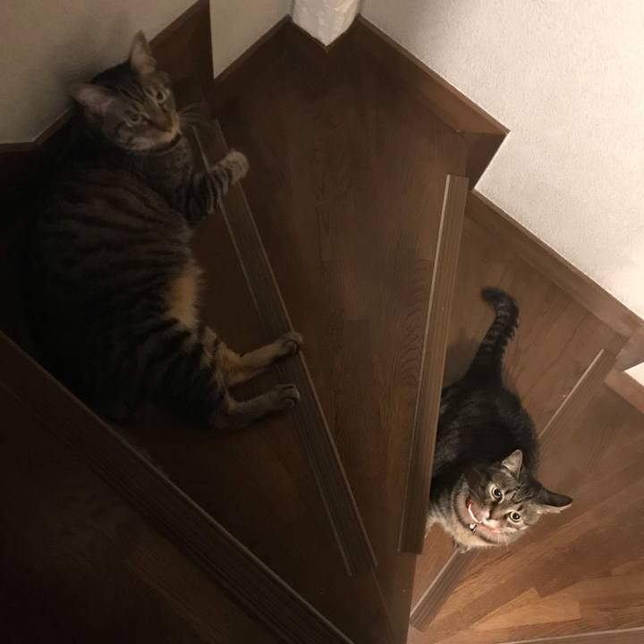 D5ce7d60 b0d2 4841 b457 f10d2f289e3d 1562768718130