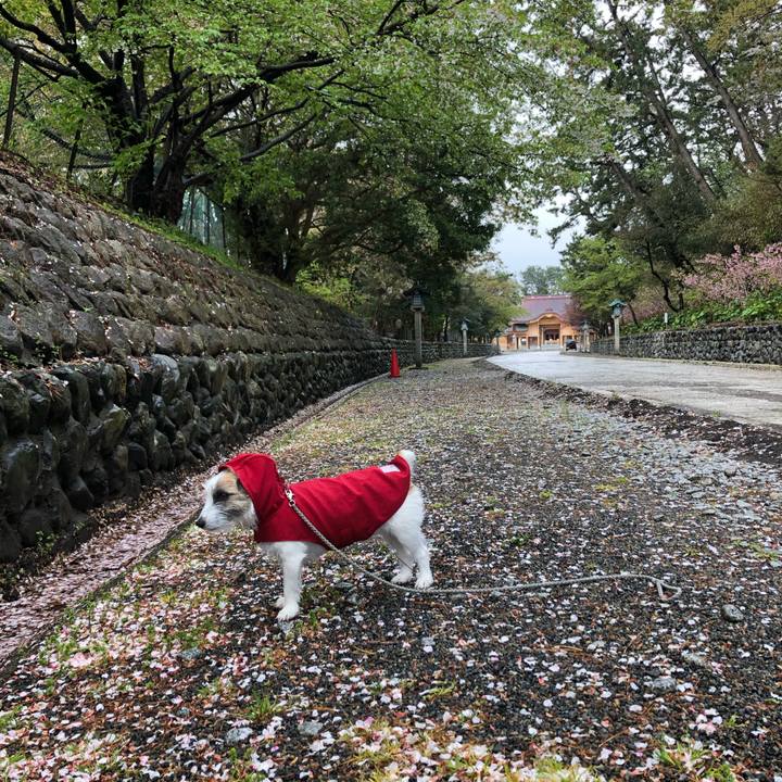 D5ce8718 2983 4b04 b664 e2ffe499040d 1587601379747