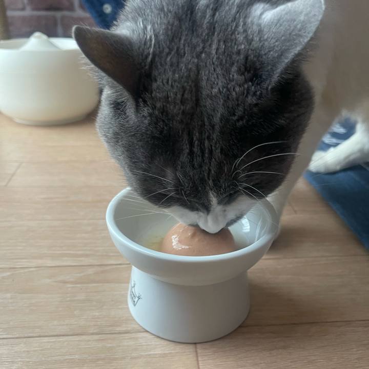 D5cec530 172d 420b ba87 3e76286ea49d 1722751718266