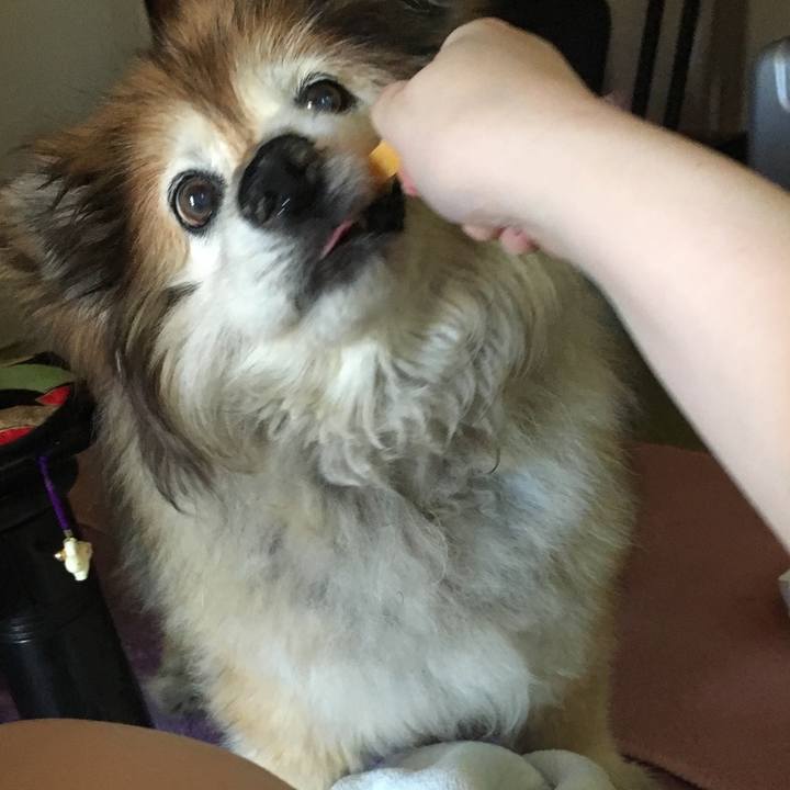 D5ced419 f5c1 4d14 8e64 92f649d8d632 1589519975884