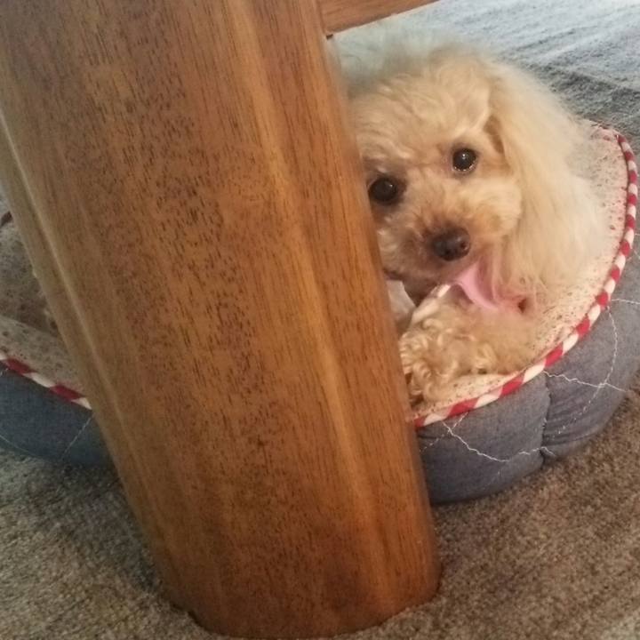 D5ced5a4 9571 4c2f a78a e055e782caf6 1527590792567