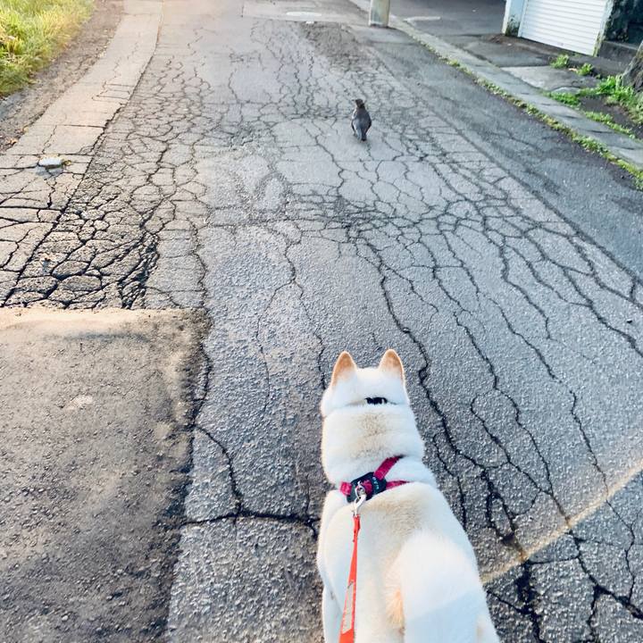 D5ced824 f836 4d54 b38f 44bfc6009da2 1570659388932