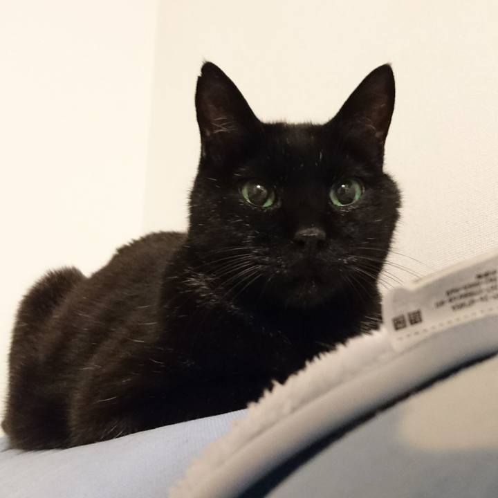 D5ceefc3 faee 41fa 92ee acc4efdee833 1558248098650