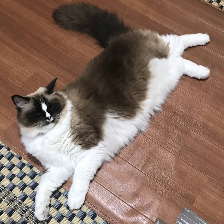 D5cefe36 51c7 47d9 a007 15e2e4b30269 1513031824944