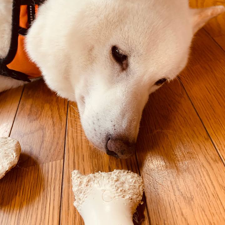 D5cf15d4 a25f 4f77 9cf6 ed4990a3c854 1666839310895