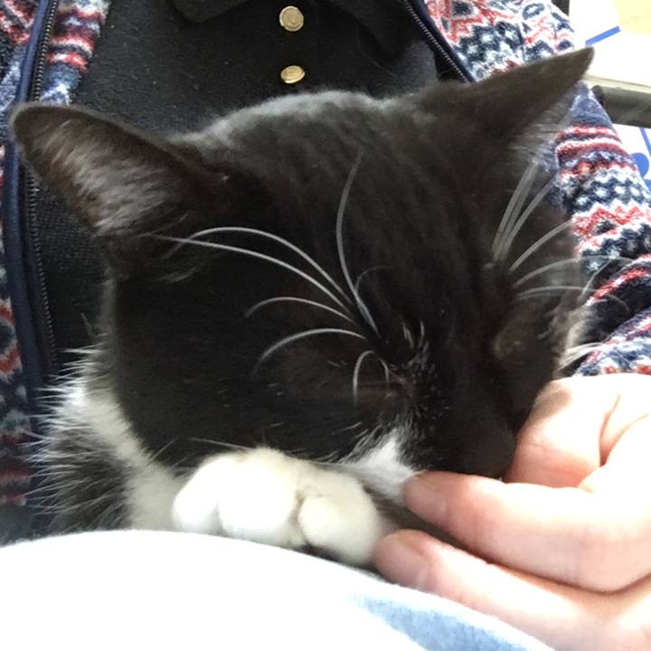 D5cf1640 51ef 4b79 b1d3 67115a8d85fd 1581706595810