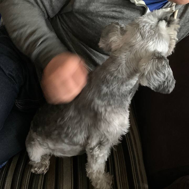 D5cf1e93 7176 456d 8b09 220b84a786ff 1683935223685