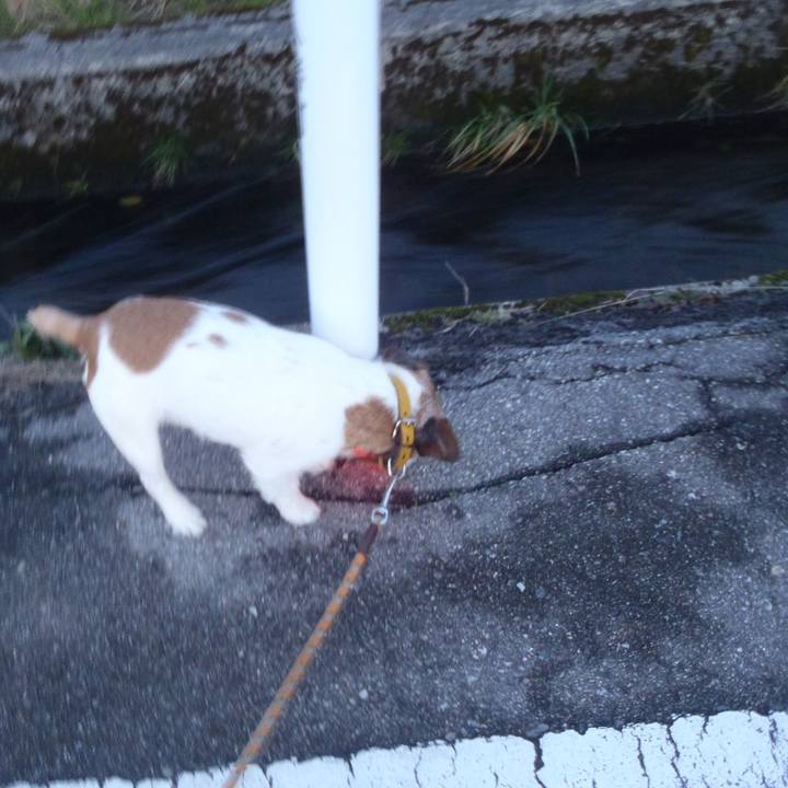 D5cf46e7 7586 404c 84cc e3d88a365f9b 1516706380437