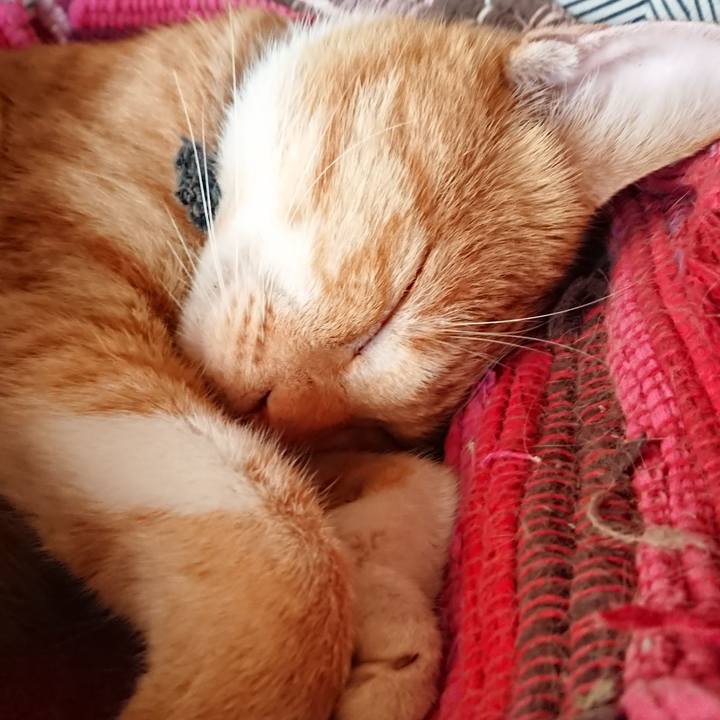 D5cf5275 f5ab 4e23 b256 346a00c59b09 1568520104723