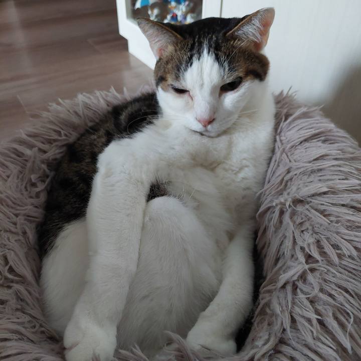 D5cf7417 e9b3 4284 b03a b4bea1b7fef2 1731640543073