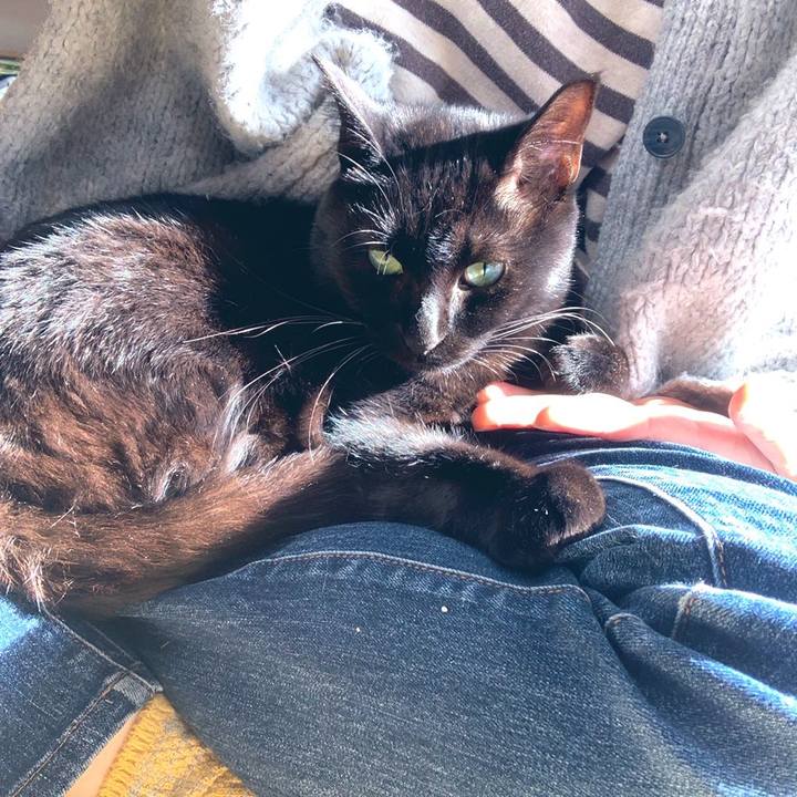 D5cf9a47 ae80 4cd8 9247 5f7c206a01ea 1573610380760