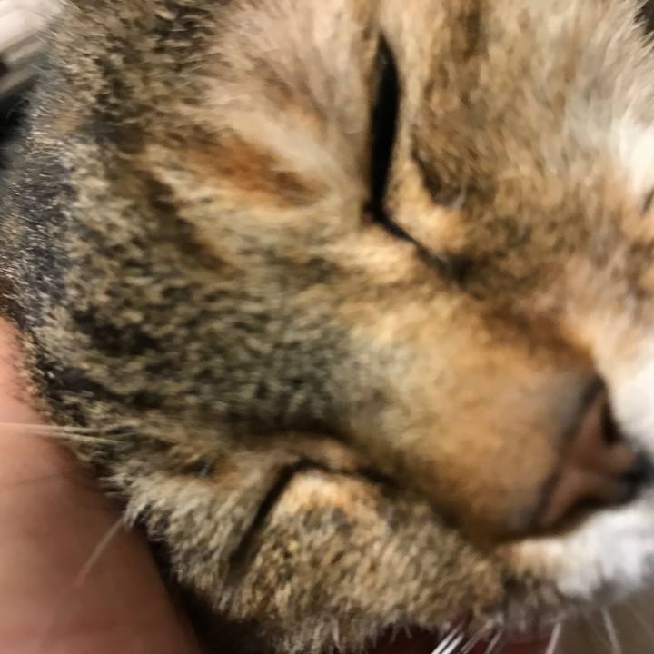 D5cfc3ca e97b 4130 8553 14a204765097 1524763402325