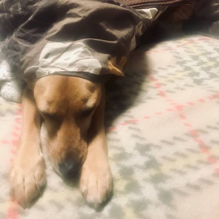 D5cfcbd9 0954 4dc2 ab96 6b6e6d58ee4e 1546855067715