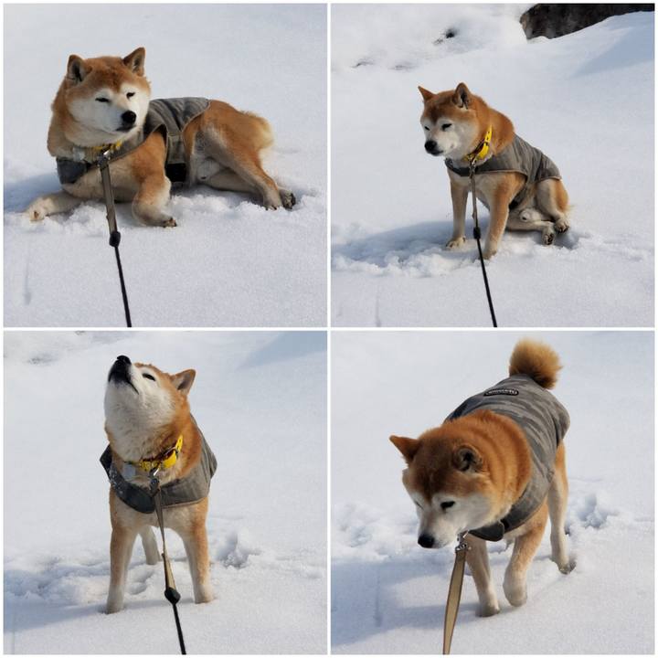 D5cfd75e 69d6 40a0 9230 1201755b8dff 1678341712347