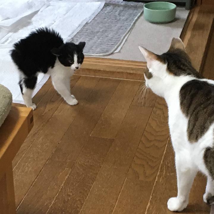 D5cfe0e1 b116 4352 9ae1 95355822cd81 1625734789486