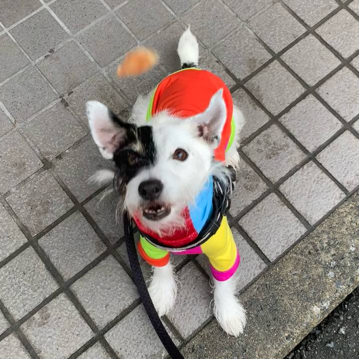 D5cffa6a 6f79 46cb b3c0 e0e3cd80dbe7 1730078859052