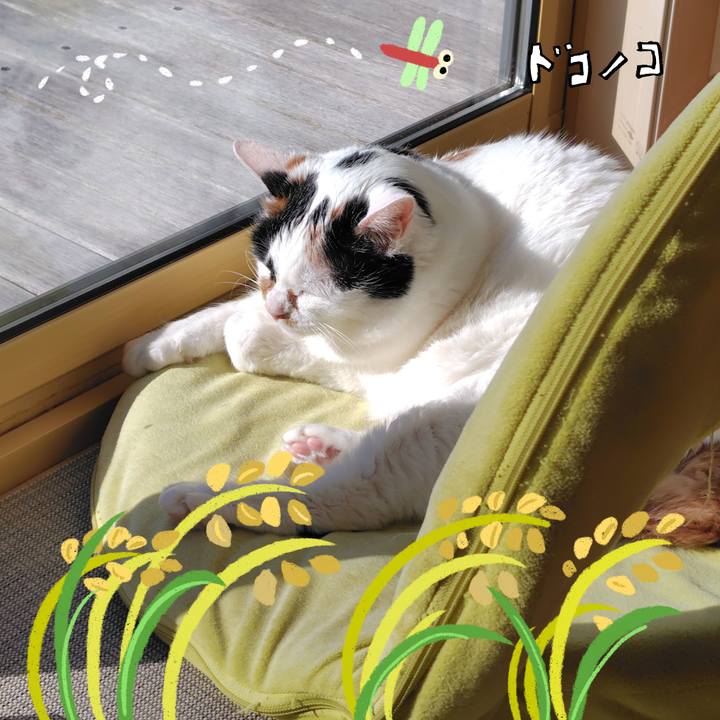 D5d00f4c a9ce 407c 9172 6cd5f0fe35fd 1761263483643