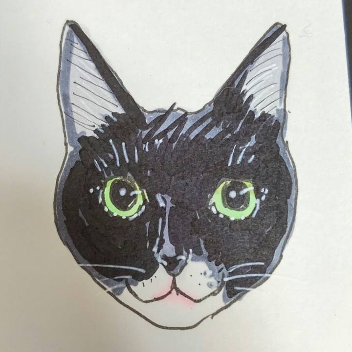 D5d019b5 a34f 429e 9ca3 0f31abb91044 1612692881829