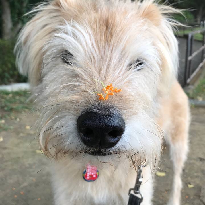 D5d036b6 4744 4335 9861 d35a24e37863 1602055340298