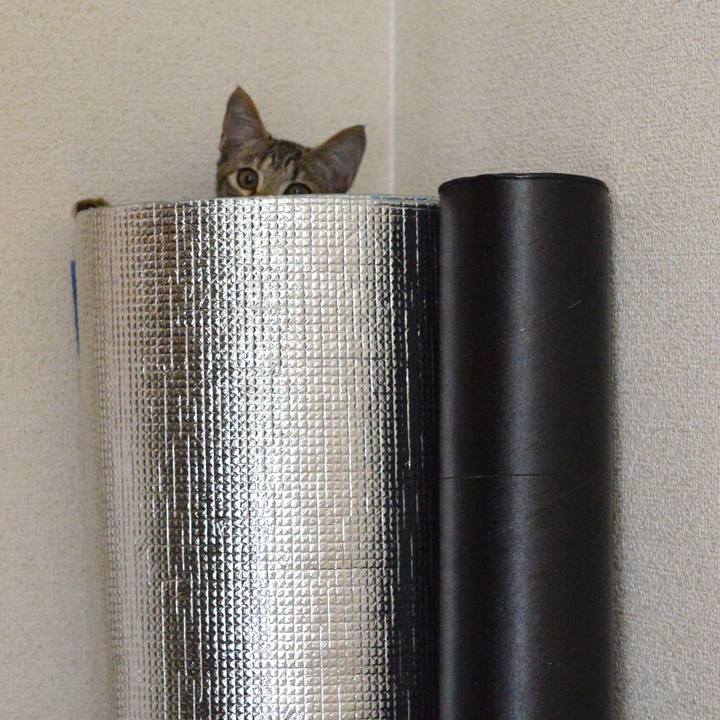 D5d05ac6 e69e 4082 86fe 47a247a85eb8 1541676192741