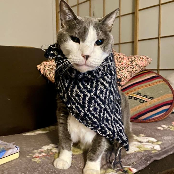 D5d06552 2a20 4a88 896d d331f2681068 1767535094432