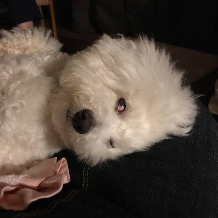 D5d0d991 f7af 4770 ab19 8237b6833cfc 1556802433935