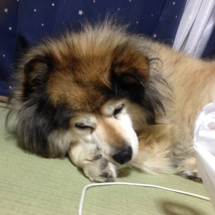 D5d0f47d d2a2 4c23 a6b4 1cdeca5c18a2 1605172911279