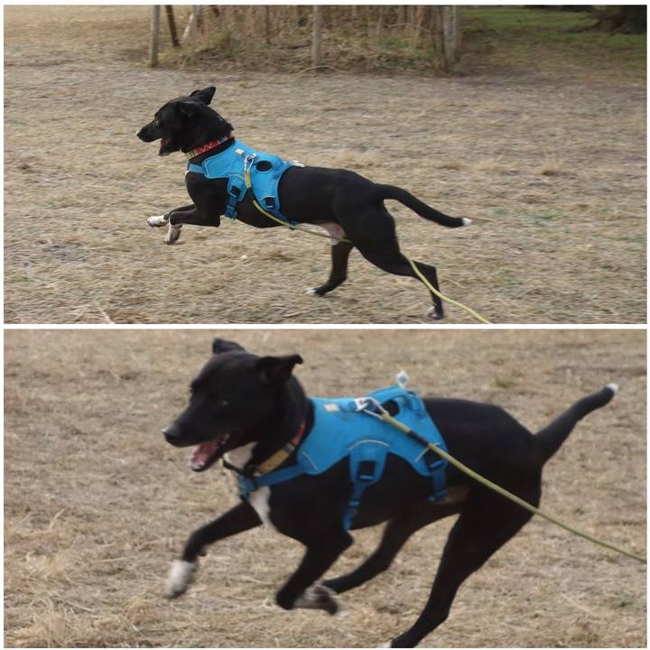 D5d10810 f657 410e b745 2aa8ee0d3875 1609719408544