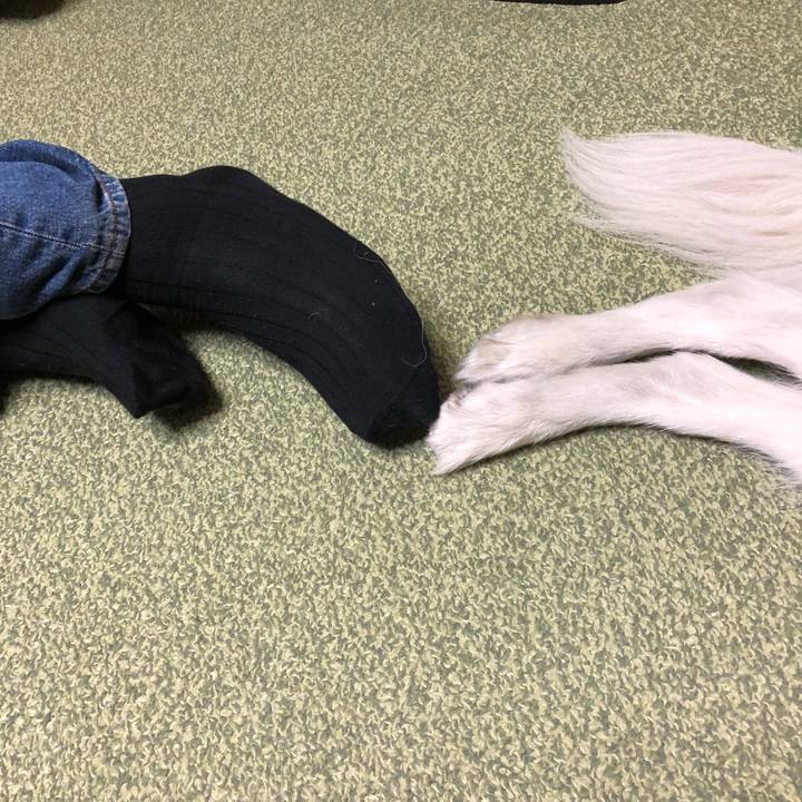 D5d11b5a 2995 4aaf abe7 945f4e9b7595 1522678439839