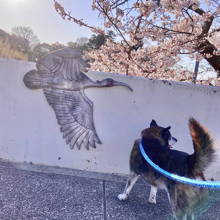 D5d12231 d8a0 404f 9bbb ad8fb4da4588 1712913250850