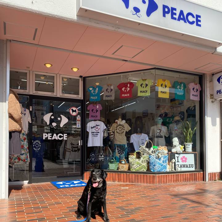 D5d15399 e273 434d bb6d ba64e8784a08 1678277500795