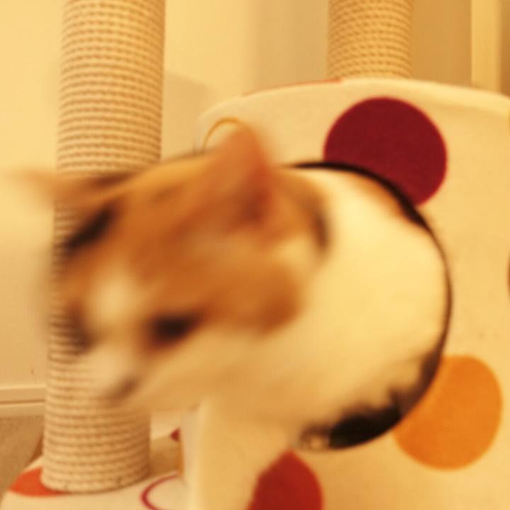 D5d161e4 4ce6 46f5 905a c1d37f4e7de7 1577768174600