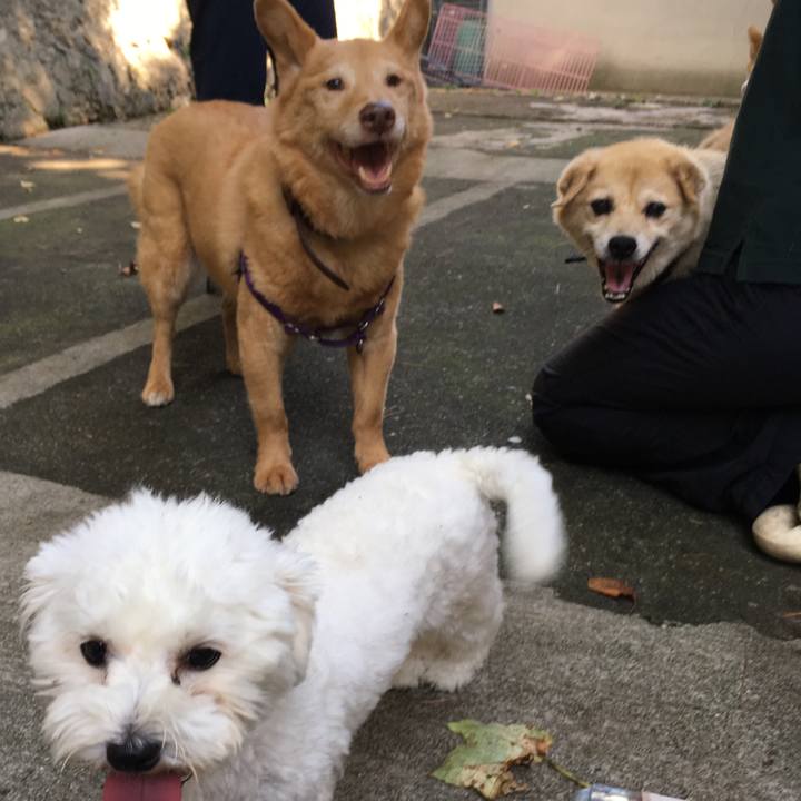 D5d192ca 4738 4d9e ac57 64c27ffd600c 1533125500221