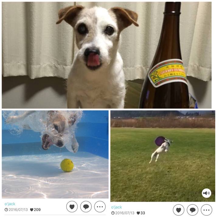 D5d1baa2 ae0d 4edd ad36 bebf628814d2 1528278286423